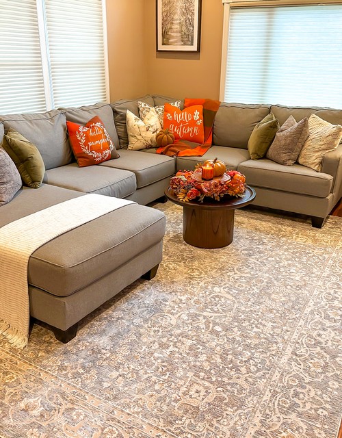 Webster Rug - WBS324G - Living Room